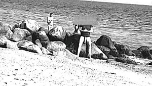 i spotted a huge cock on the nude beach