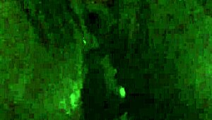 I Love Fucking My Self with Dildo and Toys!