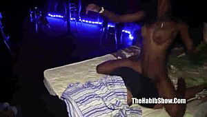 Se fut în club 😈 safari tiger exclusiv