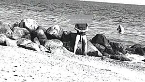 i spotted a huge cock on the nude beach