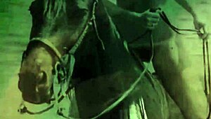 Vintage Pussy And Pooch Outdoors