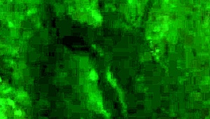 I Love Fucking My Self with Dildo and Toys!