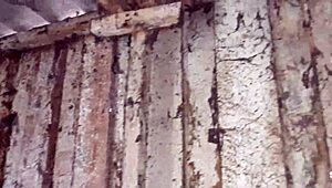 Romantic Lesbian Sex in Autumn Hut, Reaching Orgasm.