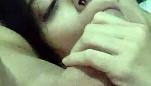 My submissive wife debora prado gives sloppy blowjob every night