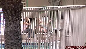 Лиса открива Енгијеву дивљу игру са стрепон-ом!