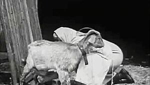 Dark Lantern Presents Vintage Scenes of Hairy Pussy Riding