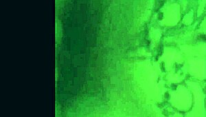 Sloppy blowjob compilation