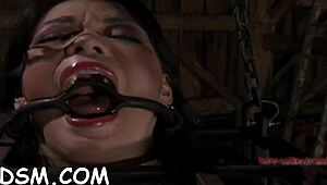 Hotty's giant tits clamped hard