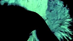 Dark Lantern Presents Vintage Scenes of Hairy Pussy Riding