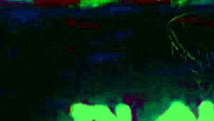 Те правят и двата начина в акустичен забавен вариант