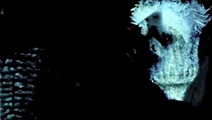 vintage peepshow reveals erotic confessions of victorian gentleman with blowjob scenes