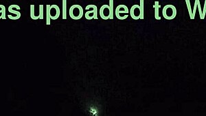 privately showing natural tits on warm night, feeling wolf-like passion