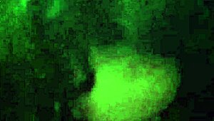 ny rabatvideo med våd fisse blowjob