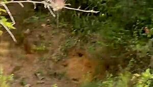 I helped a stranger, and she wanted sex in the forest; we almost got caught