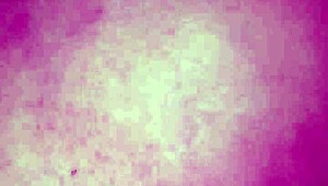 Rafayblanca Margarita Gonz�lez Victorio Toda Meti�ndose Una Azucarera Hace Todo Lo Que Le Diga Mi Perra