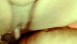 sundaydogood614 update 530 vid 20241012 133831 oct 12 2024