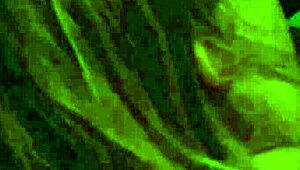 the fisherman s4 featuring various nationalities