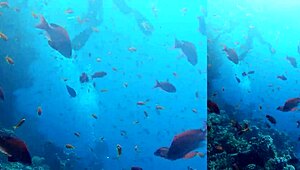 Yacht Romp With Wet Pussy Creamy Pleasures