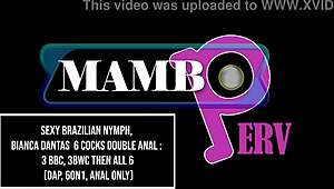 sexy brazilian nymph bianca dantas takes 6 cocks in double anal, 3 bbc 3 bwc, then all 6 dap 6on1 with huge gapes