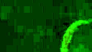 ale de la savio in a homemade amateur scene