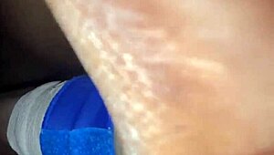 Finally met intriguing neighbors next door