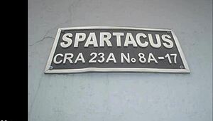 Halloween Party Turns Clandestine And Wild