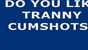 shemale webcam performer in crossdressing attire enjoys solo session