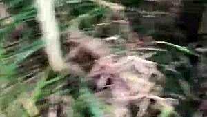 Chamei Ele Pra Entrar No Terreno Comigo E Fodemos No Mato Com Boceta Grande E Peitos