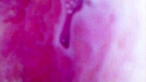 Real Pussy Orgasm Contraction Cam Inside Pussy Sperm Found In Pussy Juice Under Microscope
