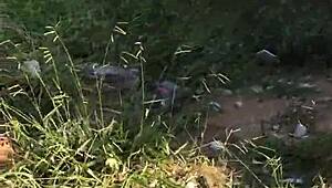 Chamei Ele Pra Entrar No Terreno Comigo E Fodemos No Mato Com Boceta Grande E Peitos