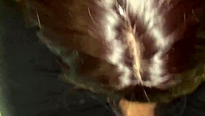 Big-ass roommate sucks monster cock, swallows cum for rent