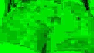 Big ass Latina twerks in tight shorts, shaking that booty