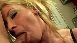 As� Se Recurre Una Multa