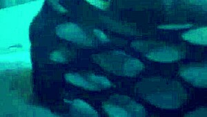 sexy footjob in nylons