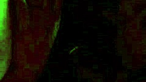 damn, this latina mommy gives an amazing blowjob 😍