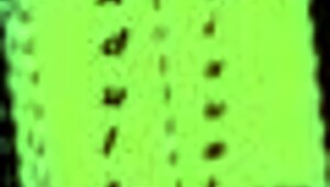 wife and stepmother jog in the park