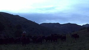 Brooke Ballentyne Fucks Ranch Hand By Fireside Outdoors!