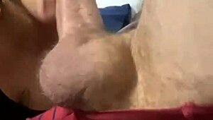 Chupando verga del cornudo con fuerza y gimiendo alto