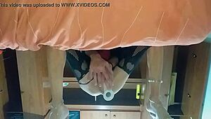 The latina shemale thrusts her new toy into her tight ass