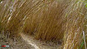 Angela Kiss describes jerking off and getting fucked passionately in the reeds with deepthroat