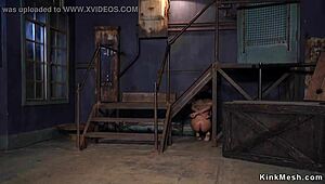 huge tits tanned beauty fucked bdsm