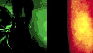 Vintage Hairy Lesbians.