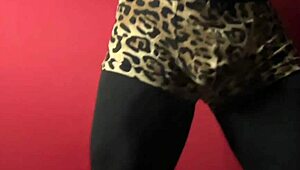 show de exibi��o movimentos de strip tease dan�a sedutora performance de sensualidade e provoca��o