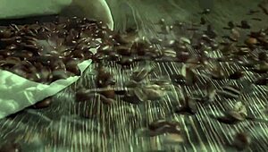 Is gorgeous Asian Lina Nakamura caught fucking on the street with John Coffee?