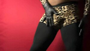 show de exibi��o movimentos de strip tease dan�a sedutora performance de sensualidade e provoca��o