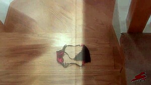 Skin Diamonds Lesbian Dreams Evoke Deep Emotional Desires