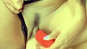 Corno Falei Que Nao Era Para Gozar Rosa Vermelha