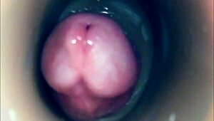 Внутренняя камера ловит еблю пизды до большого пульсирующего кремпая