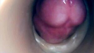 internal camera captures pussy fucking leading to big pulsating cumshot