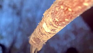 a man encounters a real witch and has passionate sex in the forest